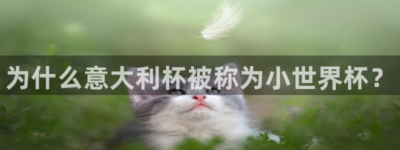 世界杯在线直播入口：为什么意大利杯被称为小世界杯？