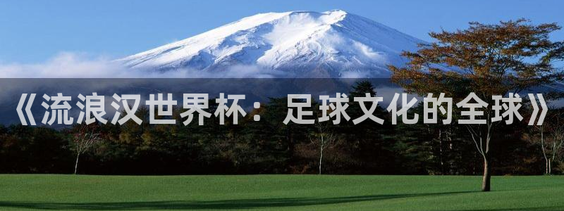 2026世界杯对阵图：《流浪汉世界杯：足球文化的全球》