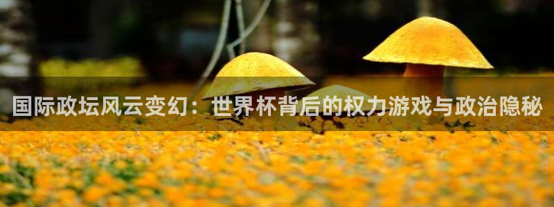 2006年世界杯冠军：国际政坛风云变幻：世界杯背后的权力游戏与政治隐秘