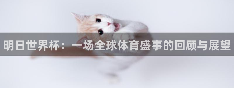 美国世界杯：明日世界杯：一场全球体育盛事的回顾与展望