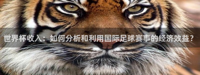 英格兰联赛杯直播：世界杯收入：如何分析和利用国际足球赛事的经济效益？