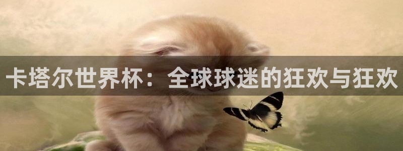 联赛杯直播：卡塔尔世界杯：全球球迷的狂欢与狂欢