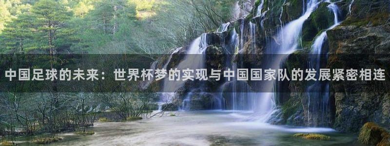 2026 世界杯：中国足球的未来：世界杯梦的实现与中国国家队的发展紧密相连
