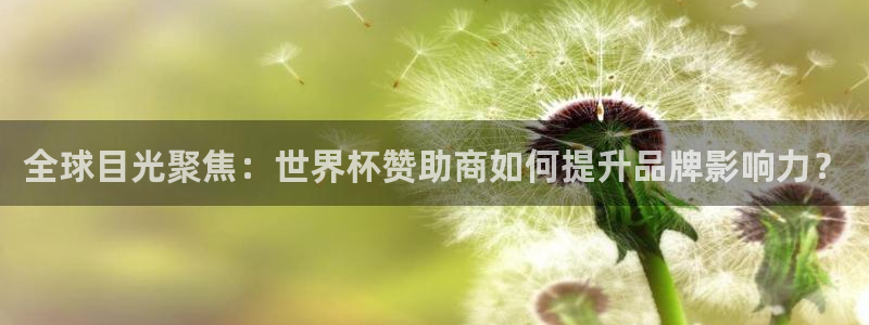 今天所有足球赛程表：全球目光聚焦：世界杯赞助商如何提升品牌影响力？