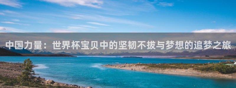 足球世界杯：中国力量：世界杯宝贝中的坚韧不拔与梦想的追梦之旅